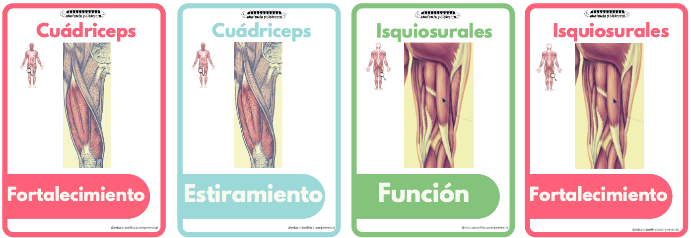 Captura de pantalla 2021-05-07 a las 0.11.44.png